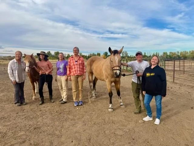 A Hope Held by a Horse group gathered with two horses in an outdoor arena
