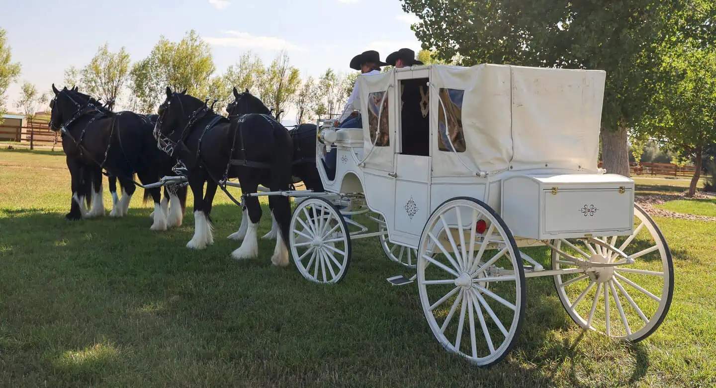 Community partnerships at Meadowlark Ranch